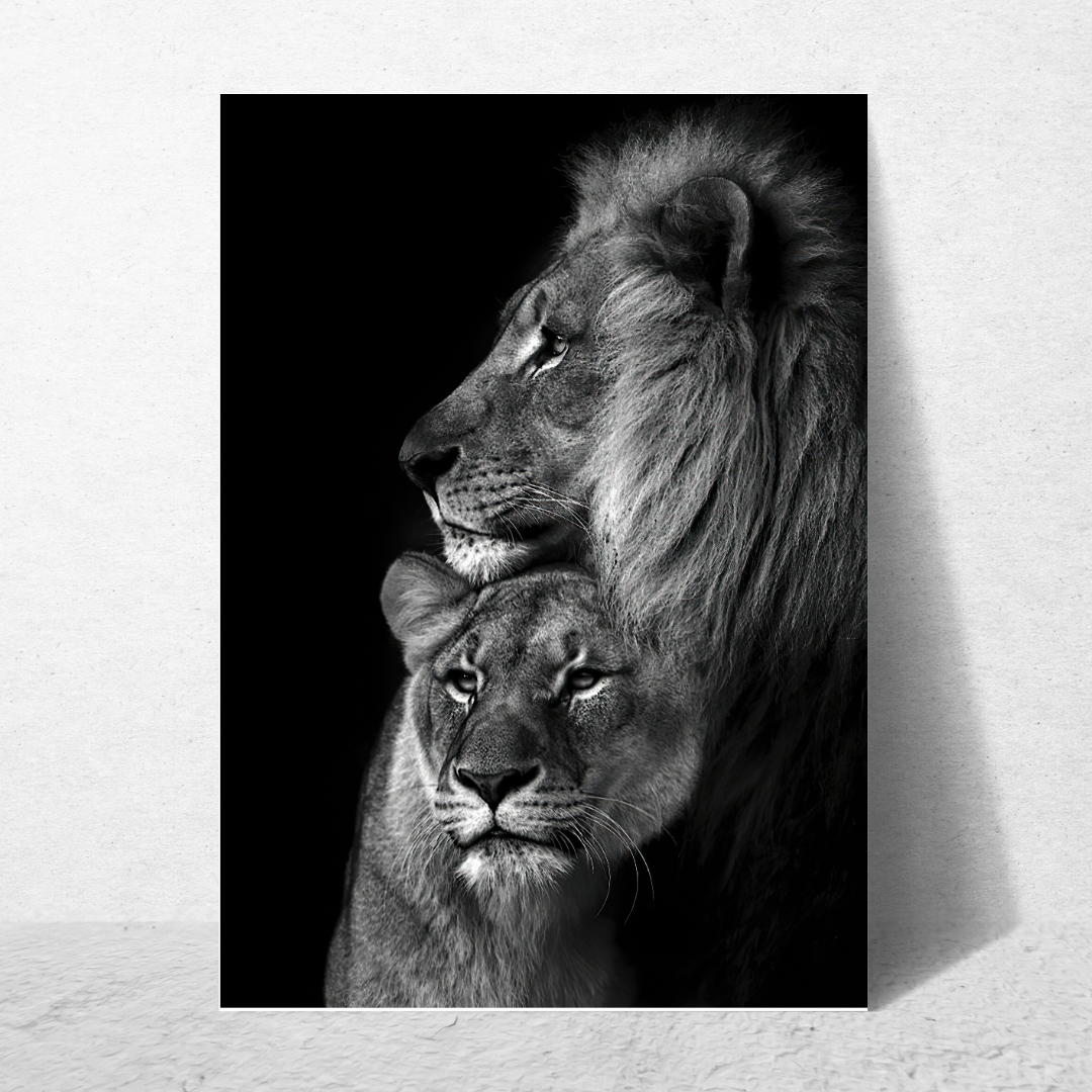 affiche de lion et lionne en noir et blanc