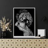 affiche de lion et lionne en noir et blanc